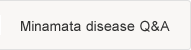 Minamata disease Q&A