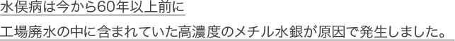 水俣病は今から60年以上前に工場廃水の中に含まれていた高濃度のメチル水銀が原因で発生しました。 