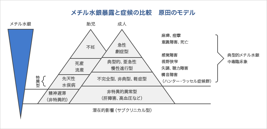 メチル水銀暴露と症候の比較　原田のモデル